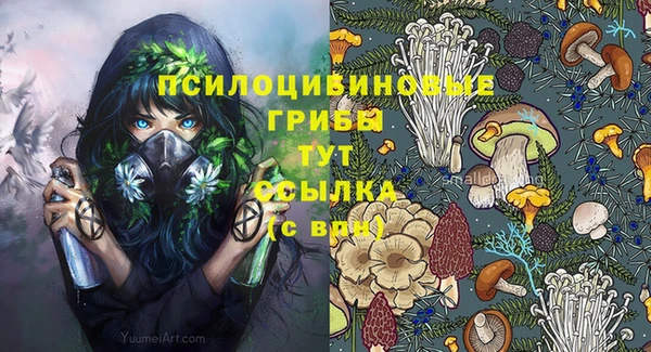 прущая мука Карталы