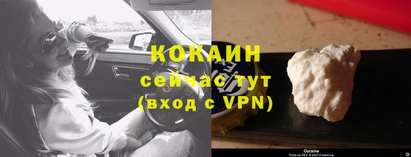 соль ск Шали