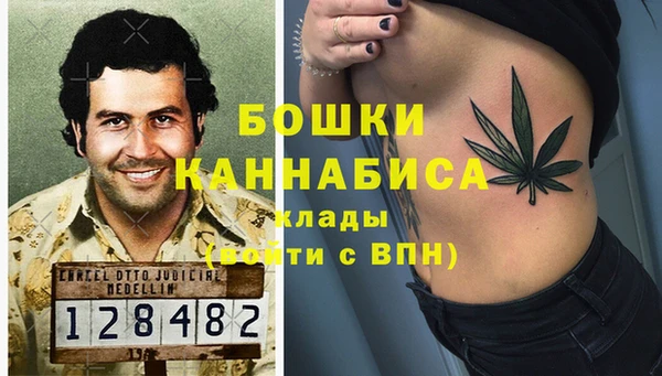 сатива Козловка