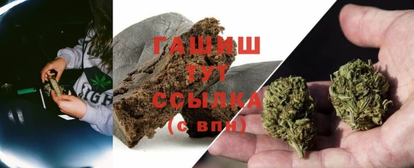 сатива Козловка